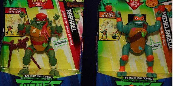 flipping ninja turtle toys