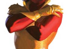 IRONMAN8_Ross_Timeless