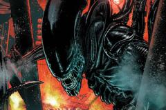 ALIENROM2024001_Checchetto