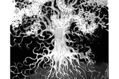 003-ALVA_DANS_LA_NUITMAE4