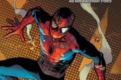 ASM202501000_Immonen