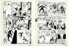 Pages-from-DITKO_INTERIORS_01_Page_10_11