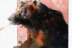 bearpiratevikingqueen_tpv1_prev3