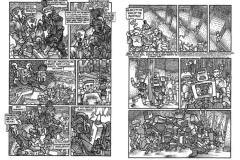 Black-Belt-Hamsters04