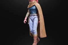 STAR-WARS-THE-BLACK-SERIES-DEVON-IZARA-6