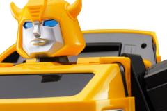 Side-Profile-Head