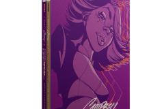 DangerGirl_SlipCase_Mockup_FRONT.1