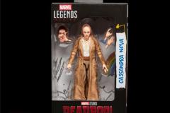MARVEL-LEGENDS-SERIES-CASSANDRA-NOVA-1