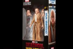 MARVEL-LEGENDS-SERIES-CASSANDRA-NOVA-2