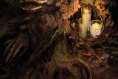 2024_CreepingBelow_002_Cover_A_Main_PROMO
