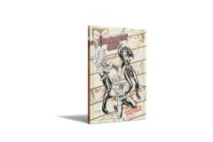 DangerGirl_Cover_3dMock_01