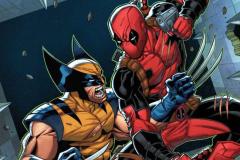 DPOOLWOLVSLASH2025001_cover