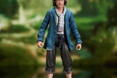 LotR_Pippin_AF_01-1