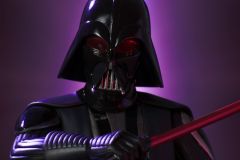 SW_Vader-Rebels_Bust_2