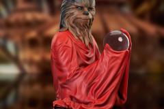 SW_ChewbaccaLifeDay_Bust_02
