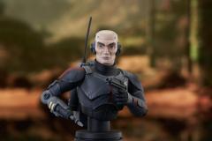 BB_Echo_Bust_01