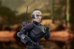 BB_Echo_Bust_02