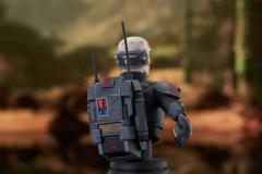 BB_Echo_Bust_04