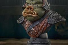 SW_GamoreanGuard_L3D_02-1