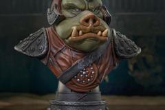 SW_GamoreanGuard_L3D_03-1