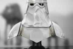 SW_Snowtrooper_L3D_01