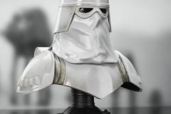 SW_Snowtrooper_L3D_02