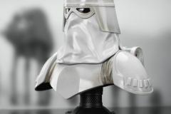 SW_Snowtrooper_L3D_03