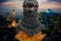 Godzilla_Godzilla74_L3D_01