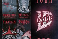 FCBD25_SILVER_IDW-Pub_IDW-Dark-Find-Your-New-Fear