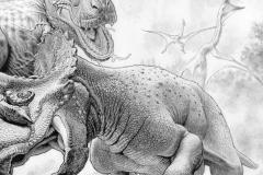 CARBONBASED-SAMPLE-PG-008