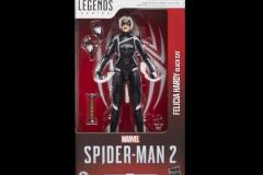 MARVEL-LEGENDS-SERIES-GAMERVERSE-BLACK-CAT-FELICIA-HARDY-Package-1-1