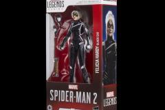 MARVEL-LEGENDS-SERIES-GAMERVERSE-BLACK-CAT-FELICIA-HARDY-Package-2-1