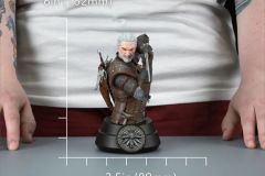 Geralt-Bust02