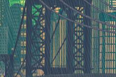 Poison-Ivy-30-Hush-variant-Fornes