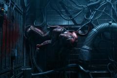 HUXLEY_Oracle_Samples_-31