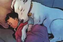 KRYPTO_1_preview_1