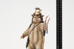 SW_Logray_Milestone_Ruler