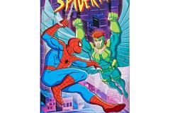 MARVEL-LEGENDS-SERIES-SPIDER-MAN-MARVELS-VULTURE-2-PACK-Package-1