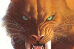 BLACKCAT2025002_Ross_Timeless