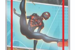 Portfolio-DosSantos-Marvel-Spiderverse-cover