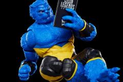 MARVEL-LEGENDS-SERIES-MARVELS-BEAST-6