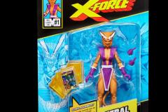 MARVEL-LEGENDS-SERIES-FERAL-Package-1