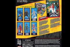 MARVEL-LEGENDS-SERIES-PHOENIX-RACHEL-SUMMERS-Package-3