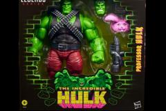 MARVEL-LEGENDS-SERIES-PROFESSOR-HULK-1