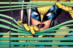 NYX2024001_Nauck_Windowshades