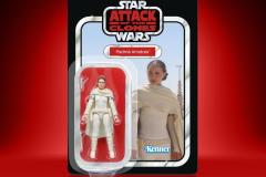 STAR-WARS-THE-VINTAGE-COLLECTION-PADME-AMIDALA-Package-1-01