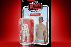 STAR-WARS-THE-VINTAGE-COLLECTION-PADME-AMIDALA-Package-2