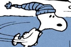 Peanuts.Skate_.PM_.61_detail.A