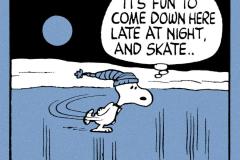Peanuts.Skate_.PM_.61_large