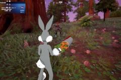 Bugs_POV_01